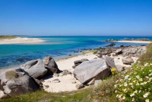 Maisons de vacances Charmante Maison Bretonne a 2 minutes des plages : photos des chambres