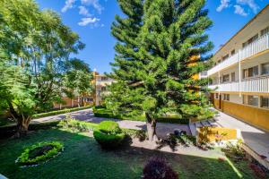 Céntrica Suite Ubicada Av Zaragoza B31