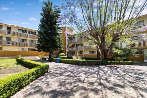 Céntrica Suite Ubicada Av Zaragoza B31