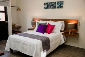 Casa MAYAHUEL x Santiago de Tequila - Tala