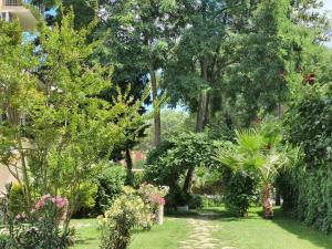 Hotel Riva Park -Inclusive