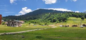 Bakuriani Plaza A317