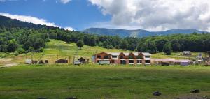 Bakuriani Plaza A317