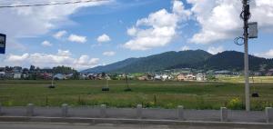 Bakuriani Plaza A317