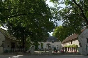 Château de la Frégeolière - 塞勒－圣但尼