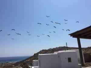 A&A House Mykonos A Myconos Greece