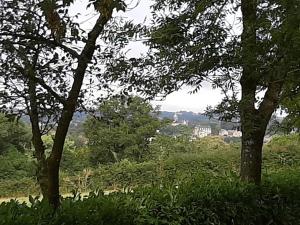 Sejours chez l'habitant La Palatine chambre chez l habitant a 20 mn de Rodez : photos des chambres