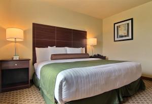 King Room - Disability Access room in Cobblestone Inn & Suites - Linton