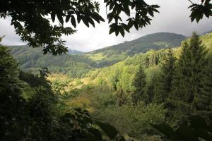 Maisons de vacances La Haute Grange Gites de Charme en Alsace : photos des chambres