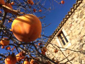 Masia de Vallforners