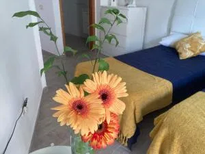 Apartamentos Eva y Lola - Calera