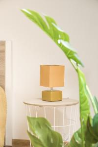 Apartament Milusia