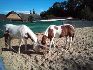 Ubytovanie na dedine - Vápenice