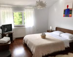 AmurguluiBnB 3-Bedroom Bucegi Mountains Retreat