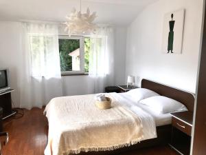 AmurguluiBnB 3-Bedroom Bucegi Mountains Retreat