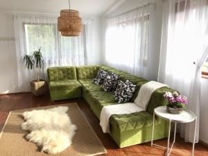 AmurguluiBnB 3-Bedroom Bucegi Mountains Retreat