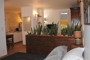 B&B / Chambres d'hotes Terre de Bacchus : photos des chambres