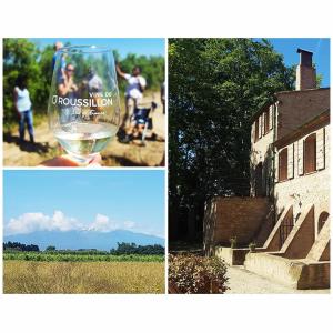 Maisons de vacances Gite de charme du Domaine Pagnon Frigoulette : photos des chambres