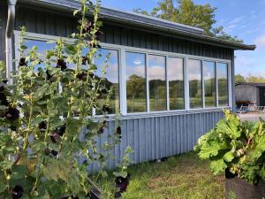 Mysig nybyggd stuga nära hav och natur