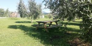 Agriturismo Fioralba