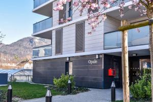 Appartements Appartement l'Opale - T2 48m avec parking a 300m du Lac d'Annecy : Appartement