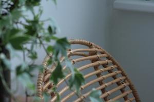 La Roseraie - Apartment 100m from Lake Annecy