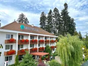 Hotel Park Sfantu Gheorghe - Coşeni