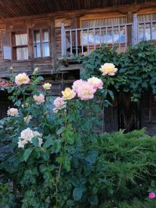 Къщата на художника