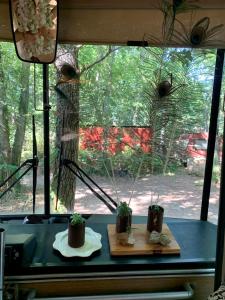 Campings Magic Roof Top Bus with big bath in the tree forest! : photos des chambres