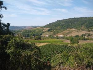 LE GRAND CARNOT