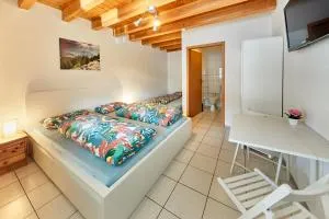 Gästehaus Viktoriya nur wenige Minuten zum Europa-Park - Ringsheim