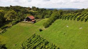 Robinzonski smještaj Green Peak 