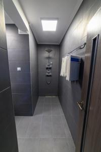 Aviator Apartament Alpha