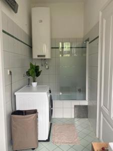 Ferienappartment zum grünen Hirsch