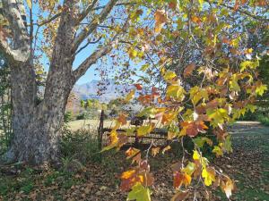 Swallowfield Rondavels