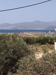 Nikoletta Studios 1 Naxos Greece