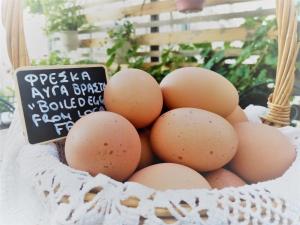 Areos Polis Boutique Hotel