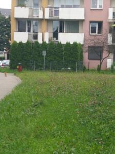 Apartament z ogrodem Tychy