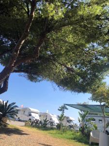 Camping La Focetta Sicula