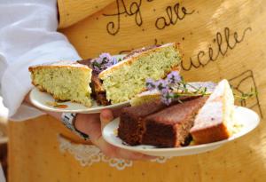 Agriturismo alle Torricelle