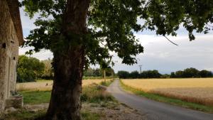 Appartements Maison au calme en campagne climatisee : photos des chambres