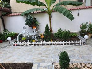 Apartments Relax 1&2