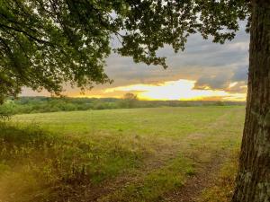 Sejours a la campagne Cottage : photos des chambres