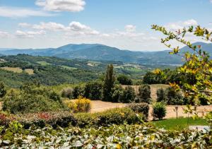 Villa La Ginestra con piscina privata