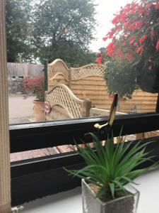 The Annex Apartment is on Cheddar Bridge Apartments