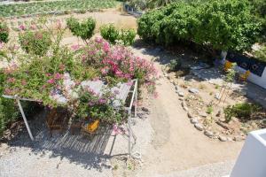 Porto Katapola Pension Amorgos Greece