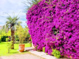 Maisons de vacances Les deux mas : Maison 2 Chambres
