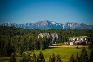 Silver Mountain G1 21 R