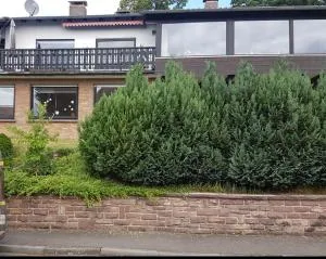 Ferienwohnung "Am Johannisberg" - 埃施韦格