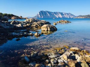 villino D5 coda cavallo villaggio cala paradiso